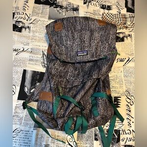 Patagonia Backpack